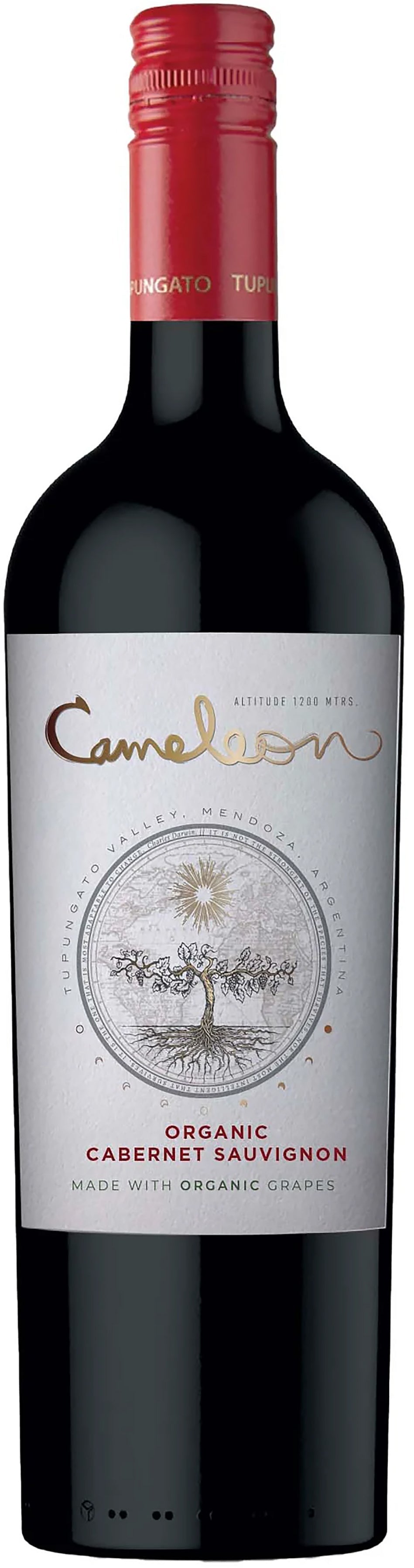 Domaine Bousquet Cameleon Cabernet Sauvignon Organic