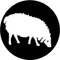 Lammas